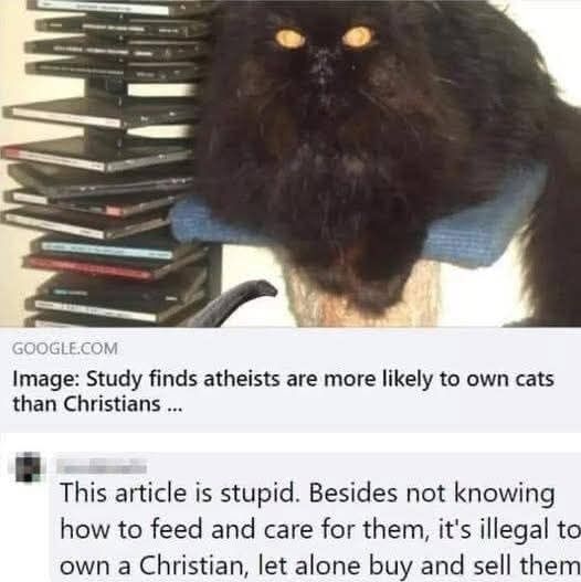 Image of a black cat sitting on a perch. Article titled "Study finds atheists are more likely to own cats than Christians. Response by someone, " this article is stupid. Besides not knowing how to feed and care for them, it's illegal to own a Christian, let alone buy and sell them". 