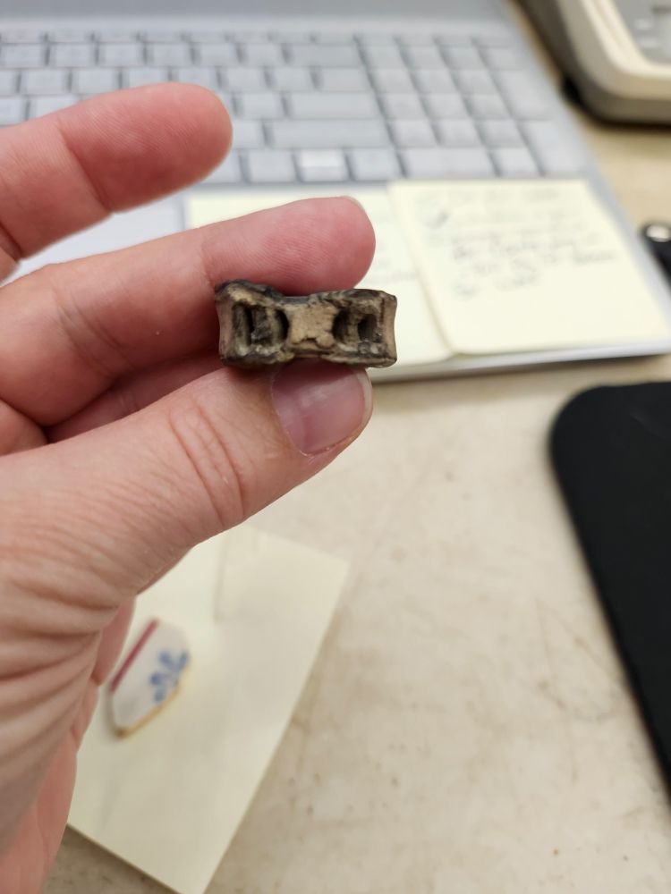 A round flat bone, viewed from the side, with symmetrical holes on either side. It looks a bit like the round wooden part of a tinker toy!