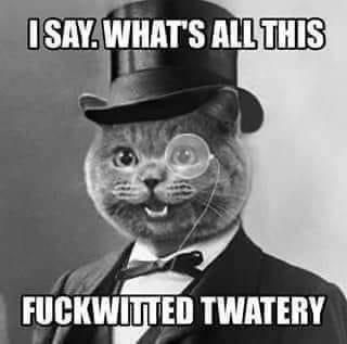 A cat in a tuxedo and top hat asking "I say. What is this fuckwitted twattery?"