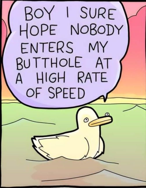 A cartoon duck floating kn water saying "Boy, I sure hope nobody enters my butthole at a high rate of speed"