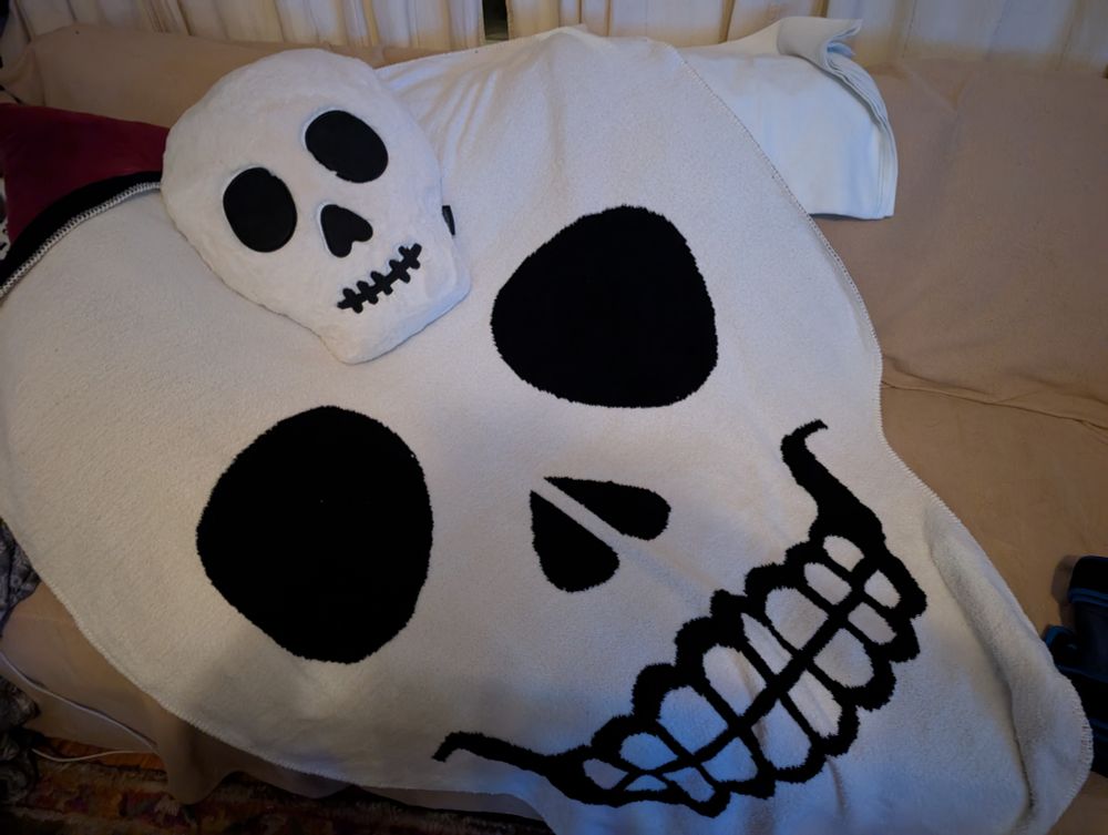 Skull Pillow and matching blanket.
