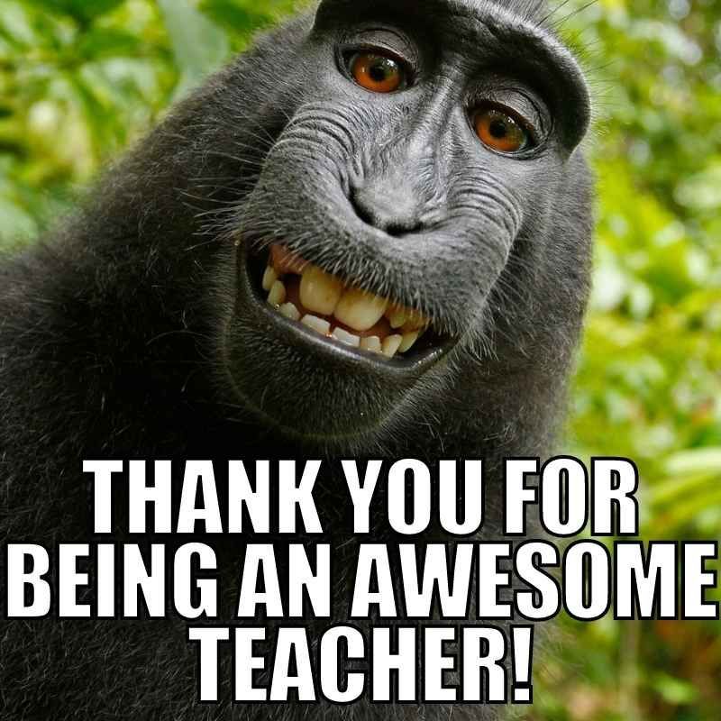 Image is a picture of a monkey smiling. Text reads 'Thank you for being an awesome teacher!'