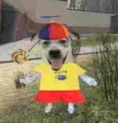 silly dog with propeller hat and a big lollipop 