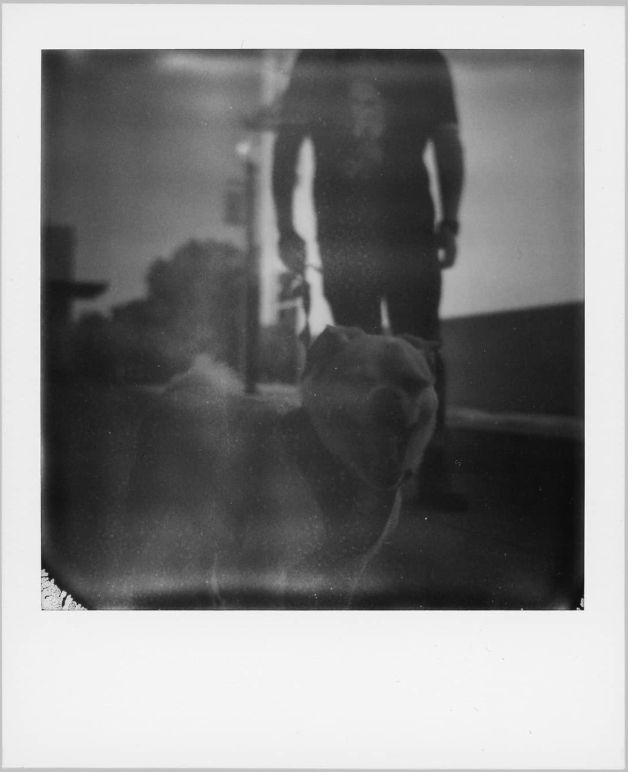 An underexposed black and white Polaroid photo of a yawning dog with a man holding the leash in the background.