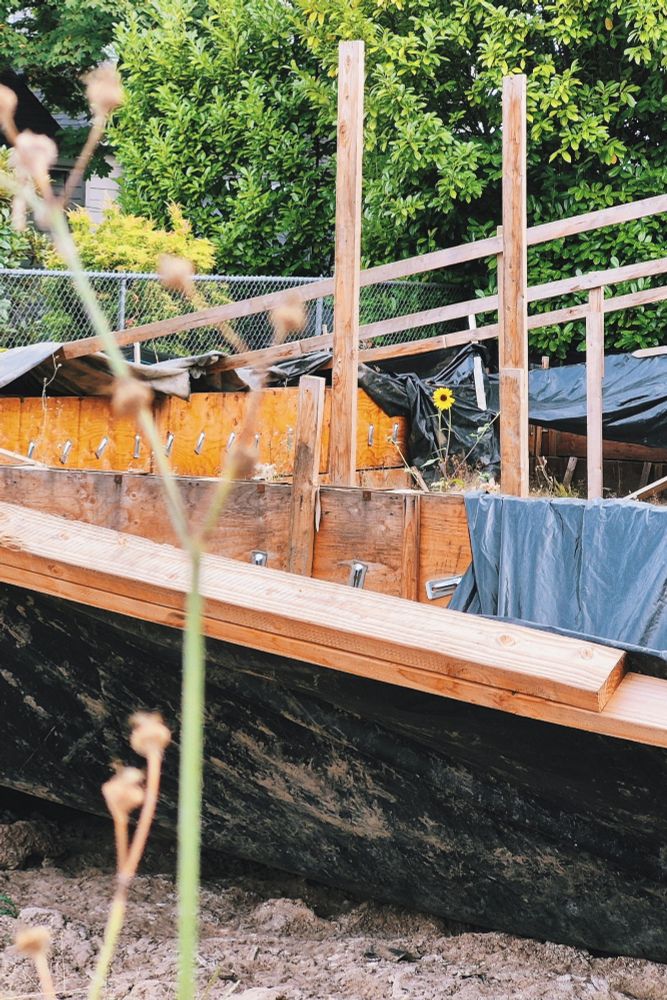 A photo of an abandoned home rebuild project. Various pieced of wood framing are visible with a sunflower growing up from within the center of the space. 