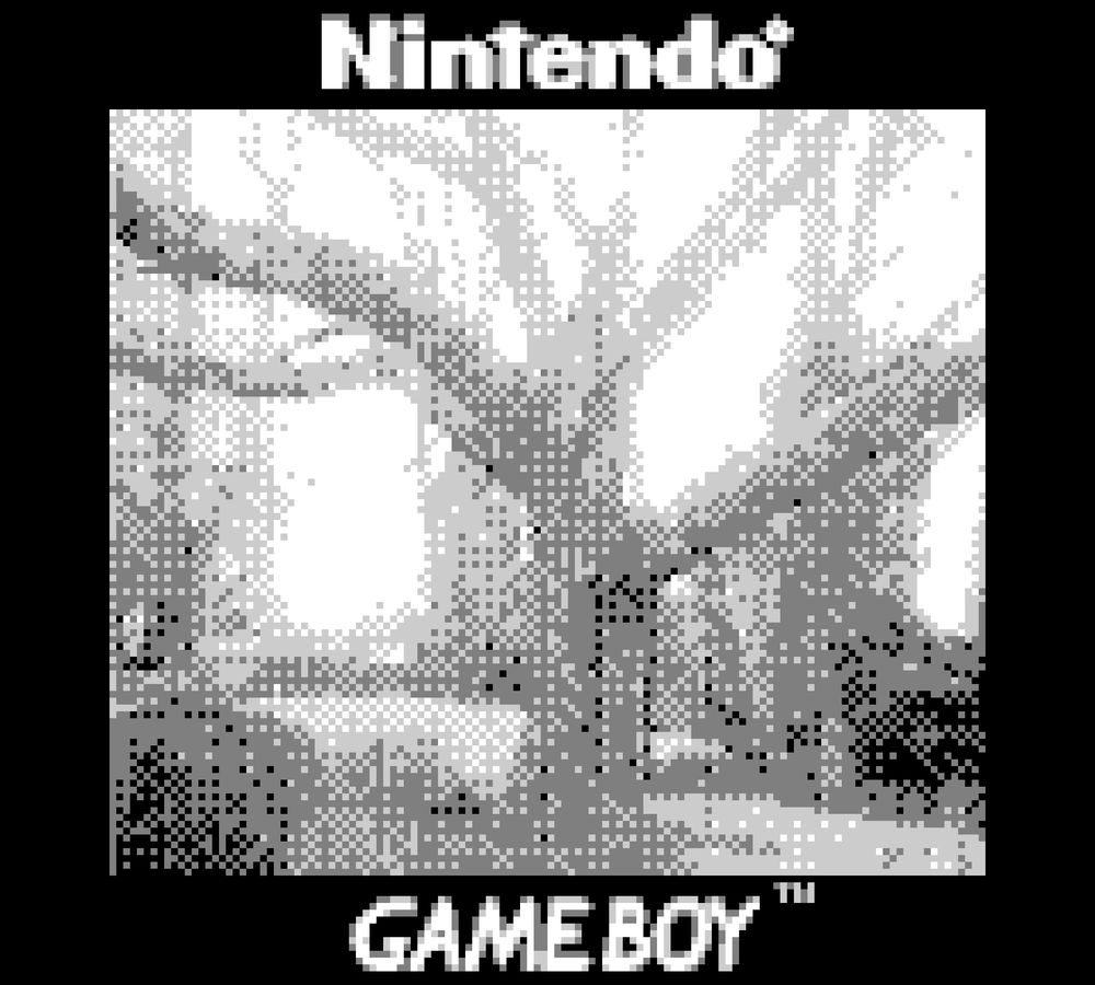 A low resolution, low contrast, black and white image of a large tree. It has many large, strong branches.  The black border around the photo says "Nintendo" above the photo and "Gameboy" below. 