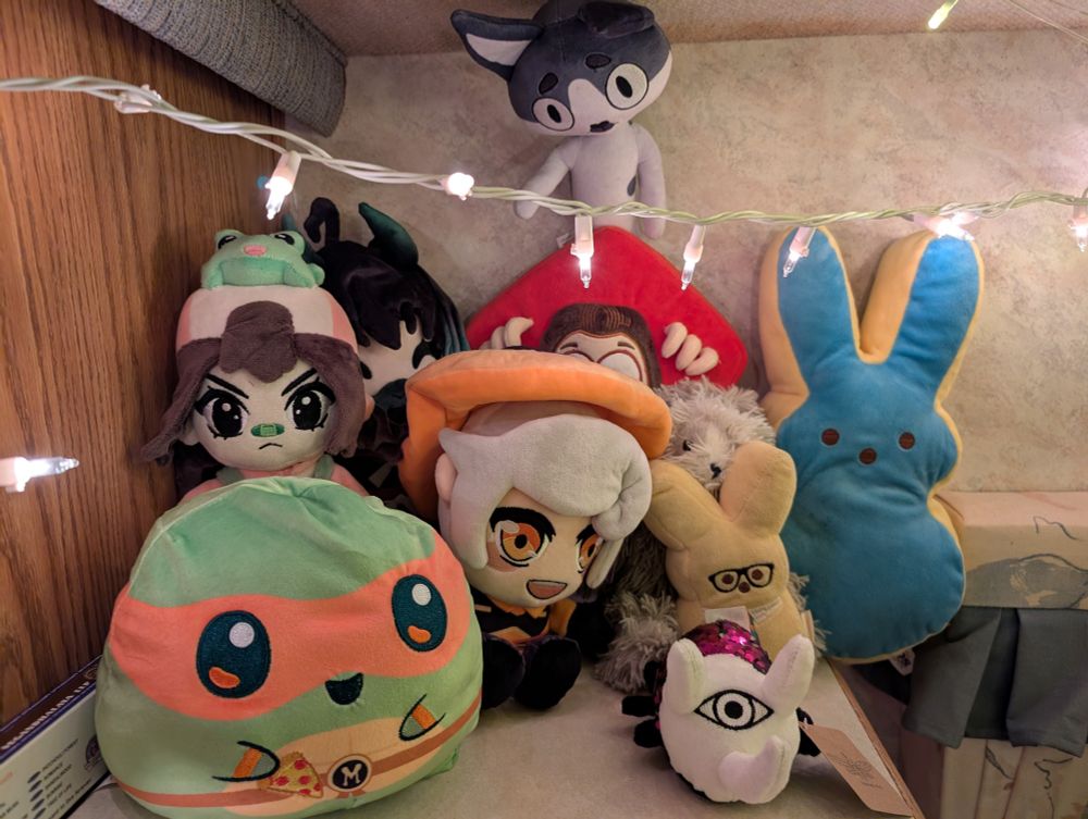 Collection of my stuffed animals including Michelangelo, BethyVA, Girl_DM_, Tom Fawkes, Spons (from Caddicarrus YouTube channel), Luigi (cat of one Illymation), a sloth, bunny peep with glasses and a tie, giant multicolored bunny peep, and a small beetle like entity named Thrashie No. 4. 
A string of Christmas lights goes across the top of the frame. 