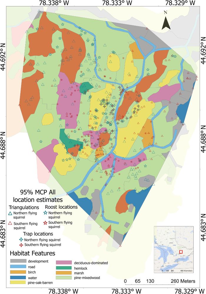 A map showing telemetry and roost locations of sympatric northern and southern flying squirrels at a location in Ontario, Canada