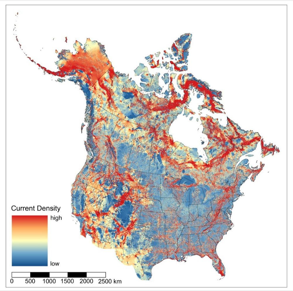 A landscape connectivity map of Canada and the USA.