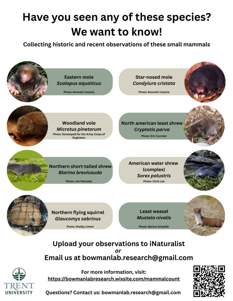 A poster asking for Ontario observations of eastern moles, star-nosed moles, woodland voles, least shrews, short-tailed shrews, water shrews, northern flying squirrels, and least weasels.