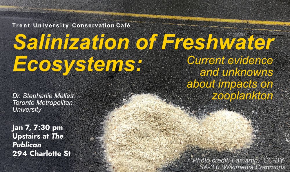 A poster describing the same details of the post, but with a photo showing salt on a roadway.