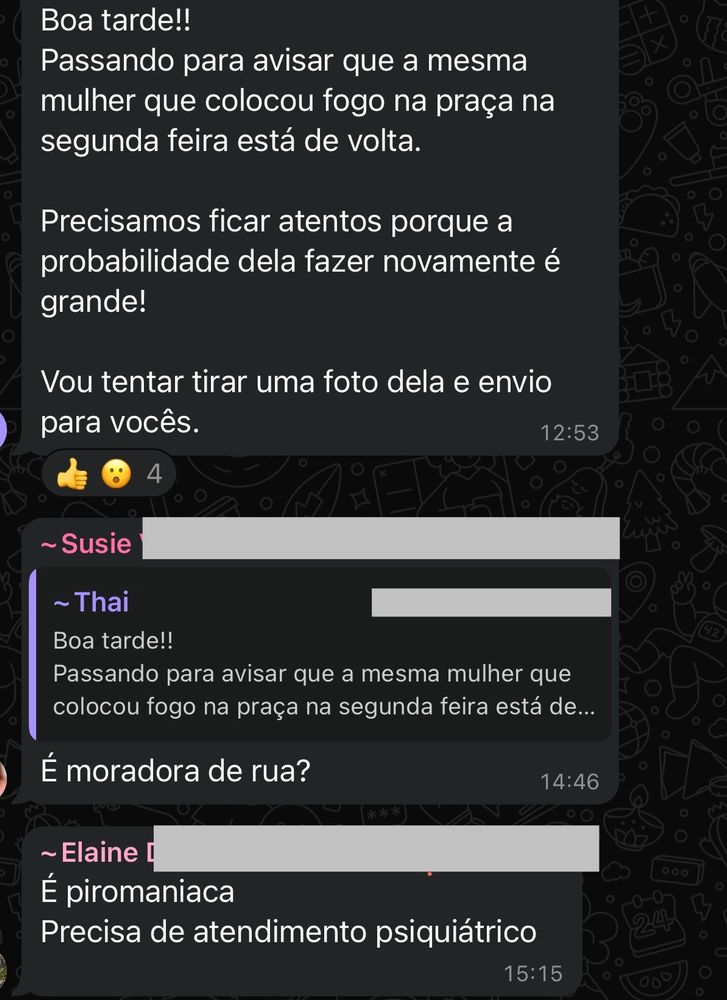 grupo do condomínio discutindo sobre uma piromaniaca no bairro