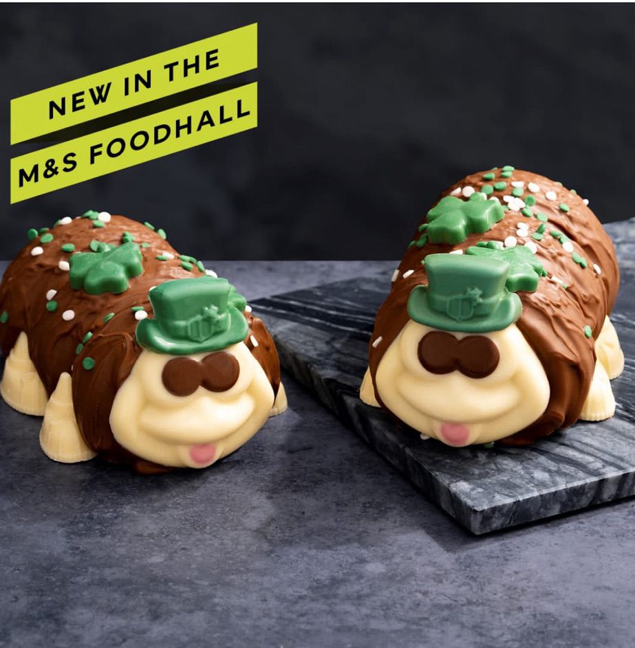 A chocolate caterpillar cake decorated with a green chocolate hat and green chocolate shamrocks and sprinkles 