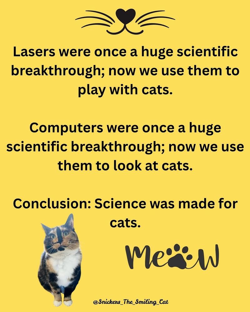 Caturday info graphic 