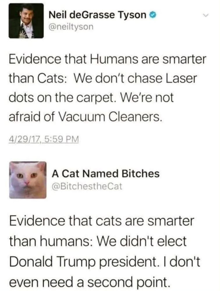 evidence that cats are smarter than humans