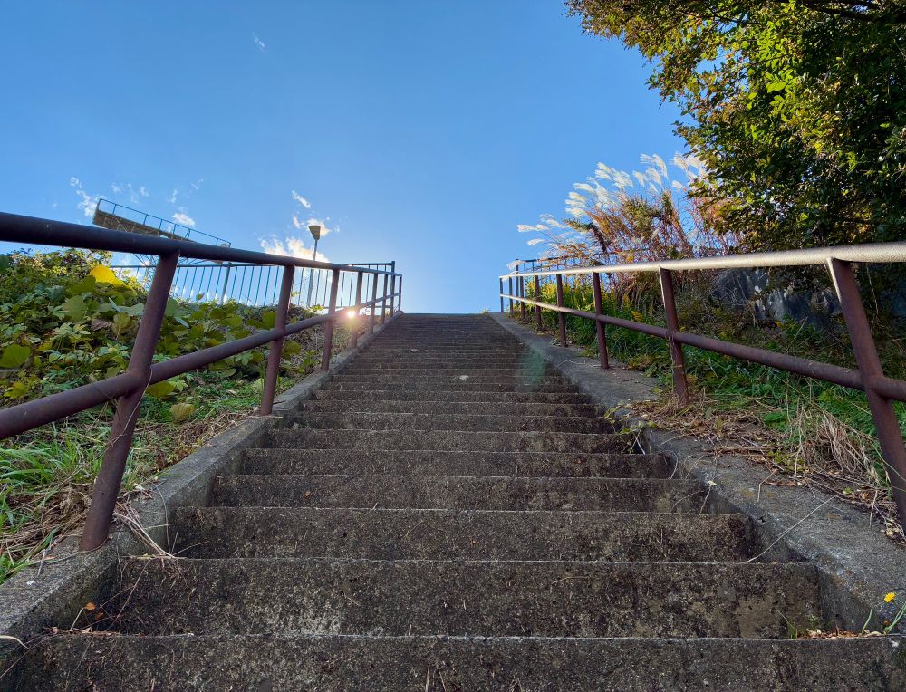 階段の下から来た道を見上げたところ