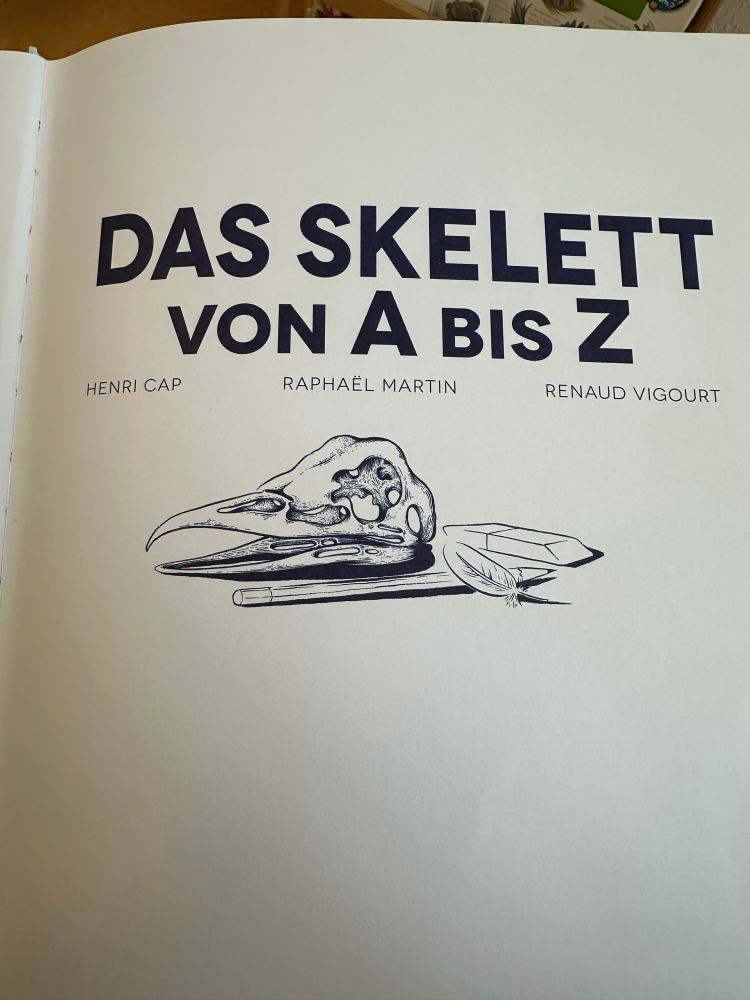 Das Skelett von a bis z

HENRI CAP
RAPHAEL MARTIN
RENAUD VIGOURT

Dazu ein gezeichneter Vogelschädel