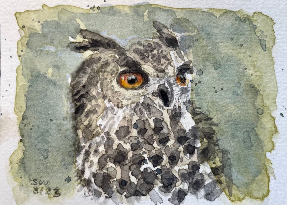 Watercolor sketch of an owl