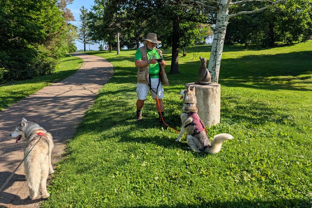Jeff is attempting to get a photo of Tonttu sitting alongside a small bronze colored statue of a hound-type dog, sitting nicely on a concrete column base. They're in the dappled shade of a young tree on the side of a trail through rolling grassy parkland. Zeena stands on the trail looking at something she finds more interesting out of view to the left.