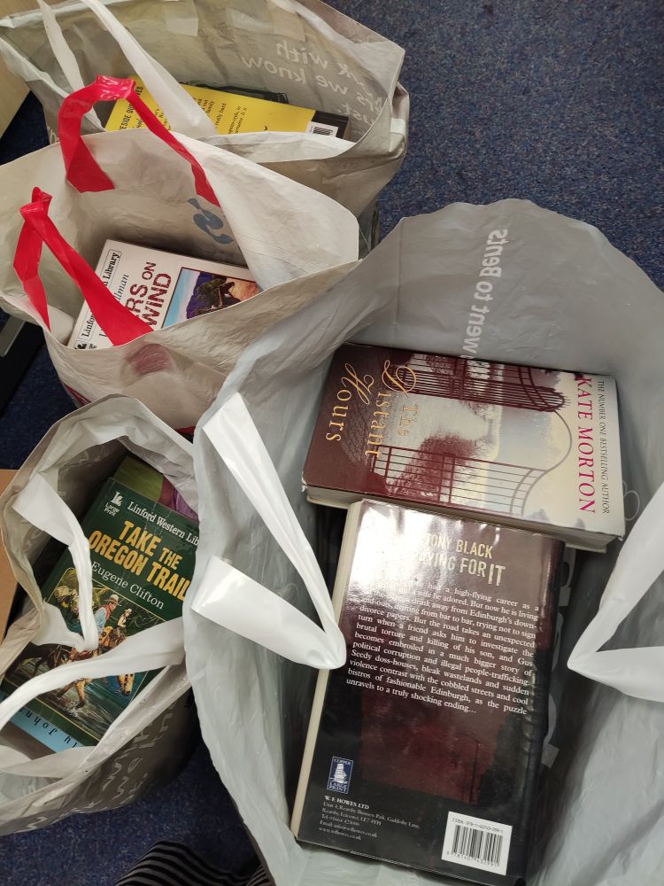 Four bags of large print books.