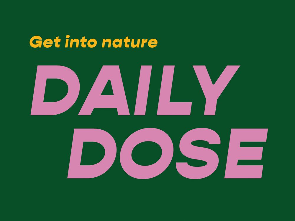 Get into Nature 
DAILY 
DOSE