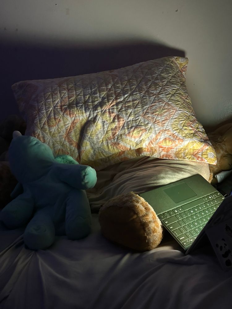 a spot in my bed that has already sort of taken my shape lol. on top on my bed there’s a huge stuff giraffe with two pillows on top. my tablet w attached keyboard is against one of the giraffe’s leg and on my spot there’s a blue-ish triceratops stuffed weighted animal. the room is dark lol