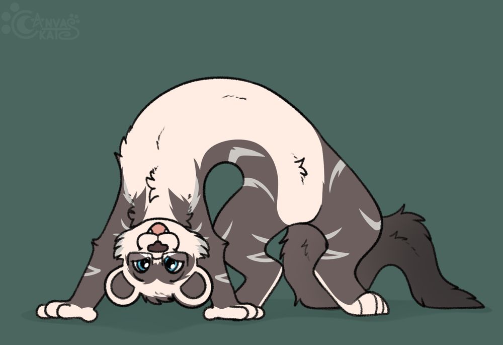 #canvaskat #furry #art #anthro #commission