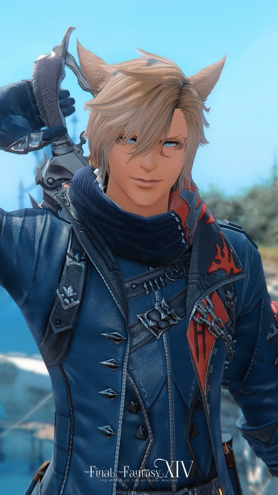 A picture of Link, Hero of Corvos, honorary Knight-Protector of Drayden!