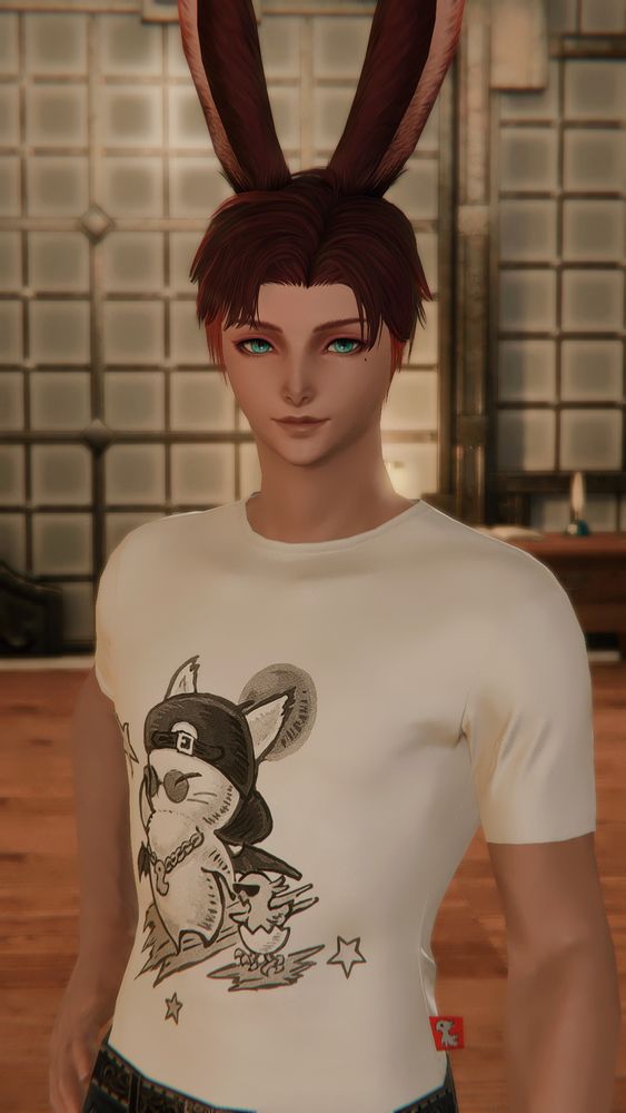 Drayden standing in the Mizzenmast Inn wearing a brand new Form-fitting Moogle Neotunic!