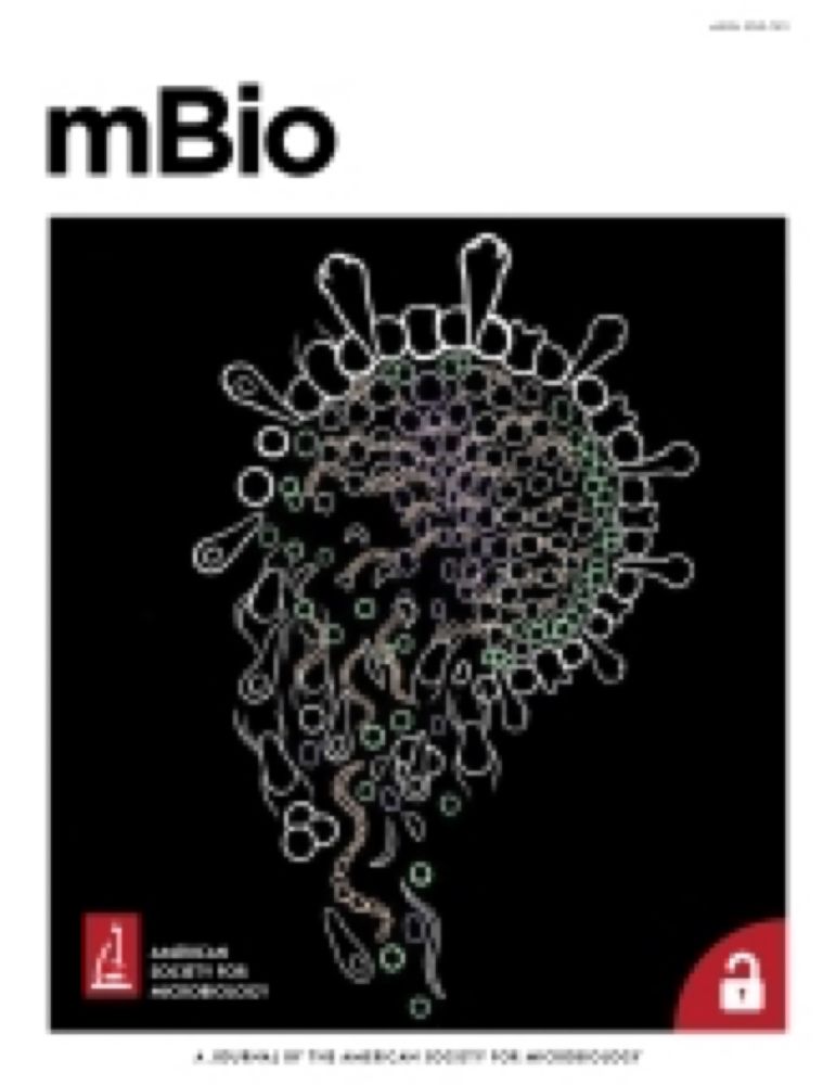 Persistence and evolution of Pseudomonas aeruginosa following initiation of highly effective modulator therapy in cystic fibrosis | mBio