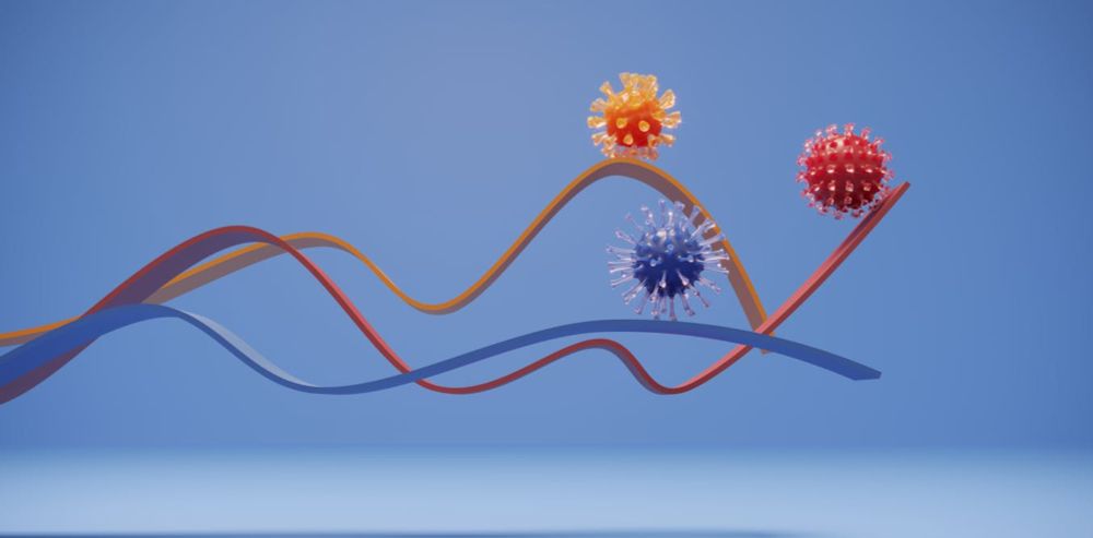 When the coronavirus copies itself, there is a chance its RNA will mutate. But new variants must jump from one host to another, and the more infections there are, the better chance this will happen.