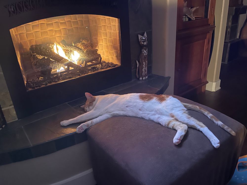 Cute orange and white cat laying by fireplace.