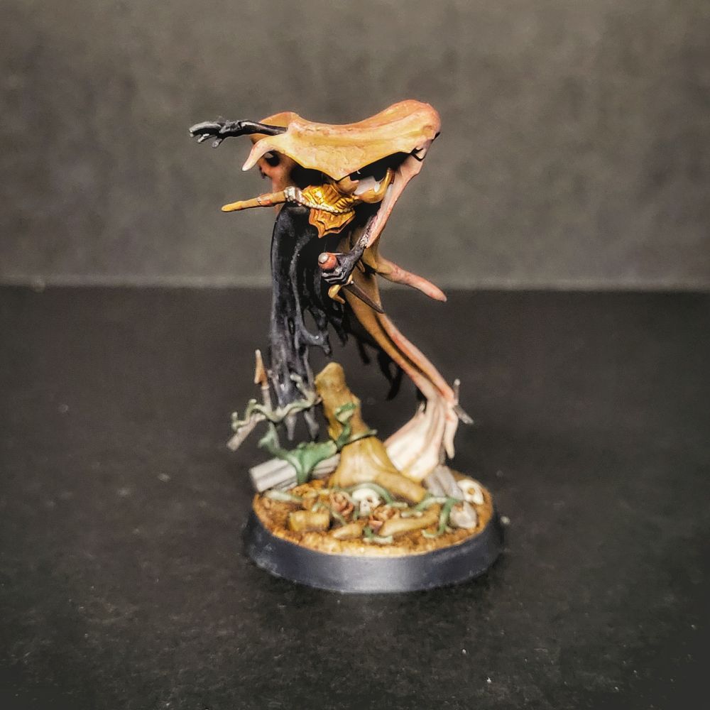 Banshee from age of sigmar in an autumnal paint scheme from the side. 