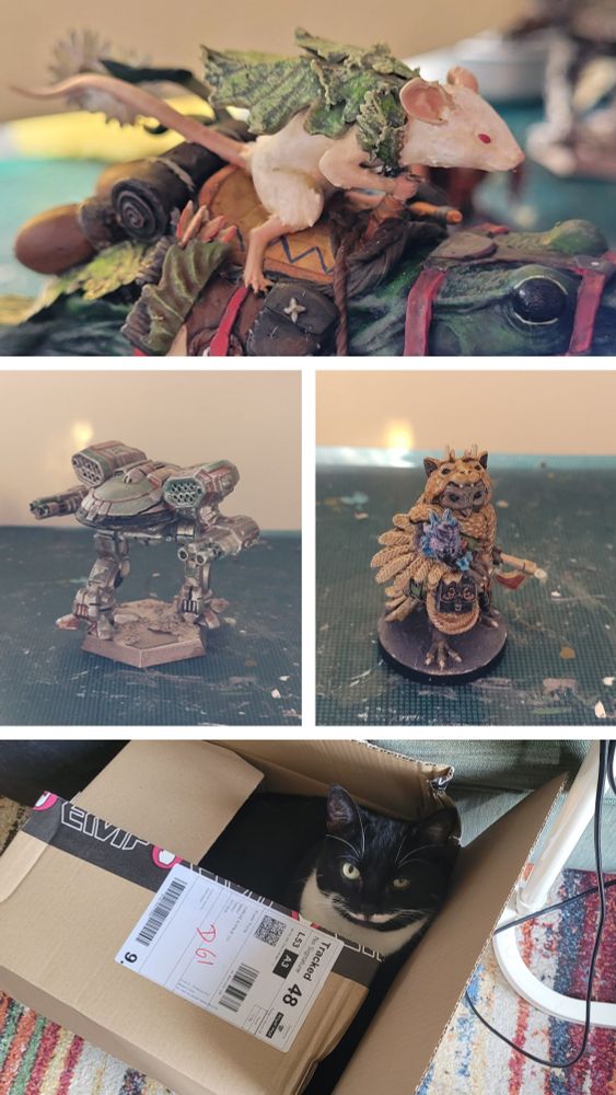 Collage from top to bottom the mouse rider on the Miniture frog, painted miniature me, humblewood owl with crystal frog, pippa a black and white tuxedo cat peering up from a box. 
