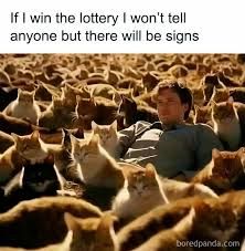 Photo of a man surrounded by hundreds of cats