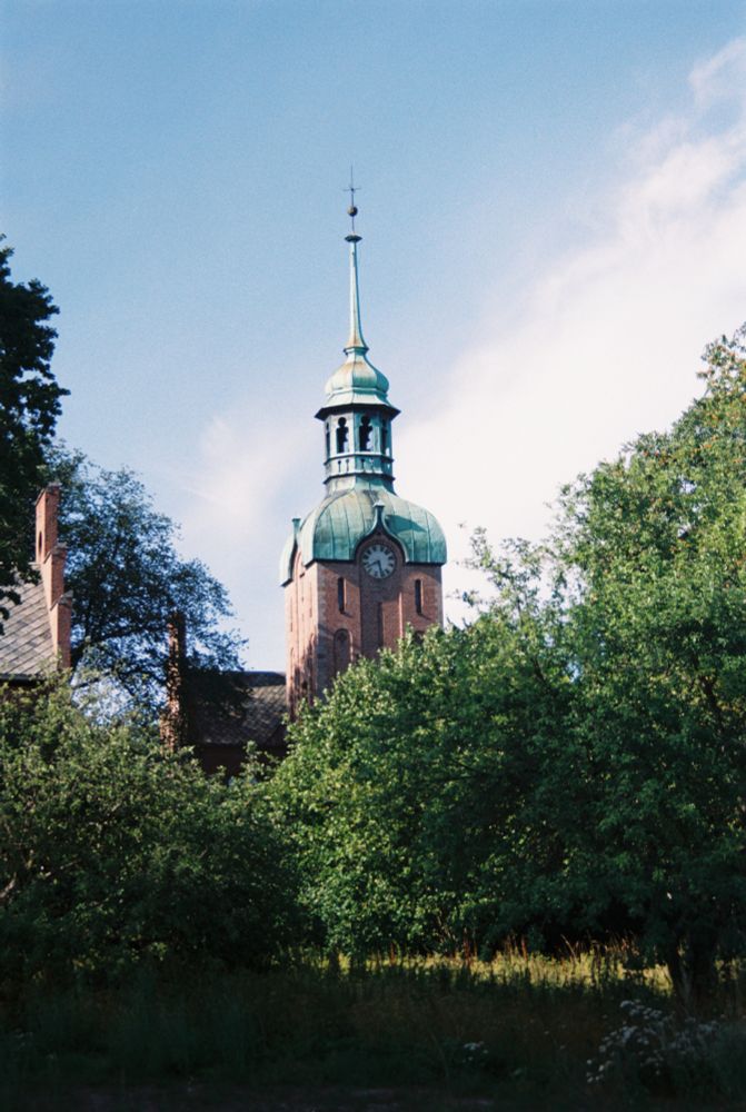 An old clocktower, clad in weathered copper, peeks out from above the treetops. 