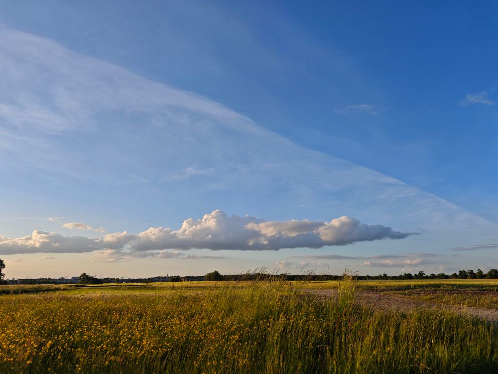 Wolken einer Konvergenzlinie, die sich als gerade Formation über den Himmel spannen und eine klare Blickrichtung vorgeben.