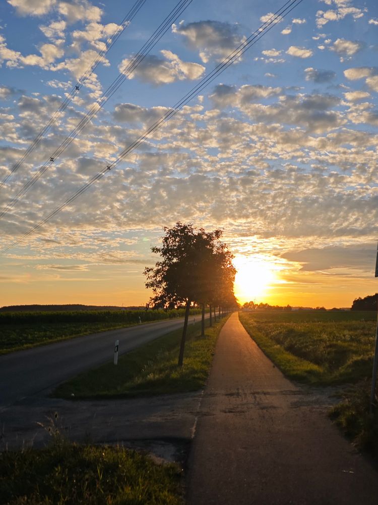Sunset in Franconia near Fürth, with a road and a parallel path lined with trees leading toward the horizon, where the sun sets behind scattered clouds.
