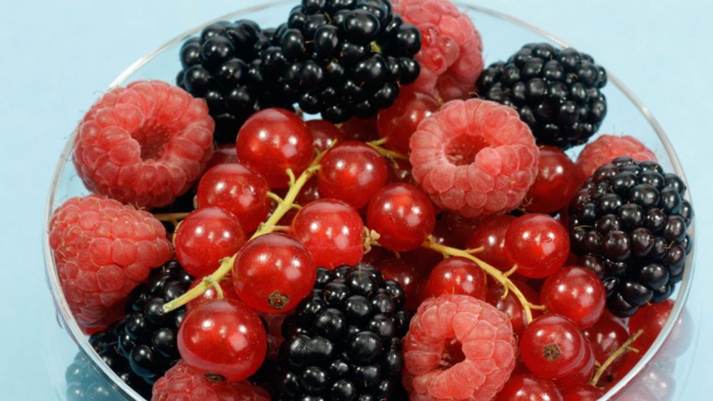 Beeren: Wie vielseitig das Power-Food ist