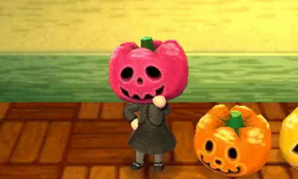 Pumpkin GIF