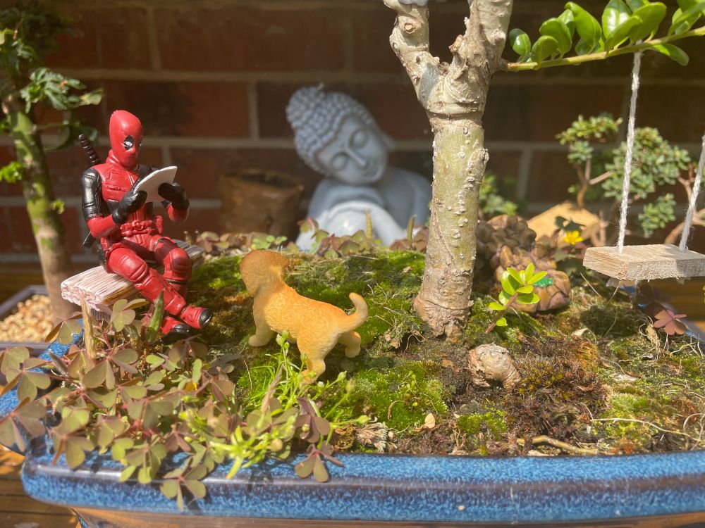 Deadpool sitting on a bench, under a bonsai tree, reading to a small dog who is staring at him intently.