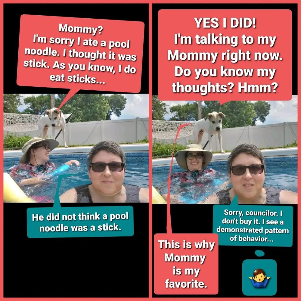 The scene: 

Erika and Rachael the Beloved are in the pool. Morgan the Dog is standing on the ground, and (I feel) talking to Rachael.

Text bubbles overlay:

Morgan: Mommy? I'm sorry I ate the pool noodle. I thought it was stick. As you know, I do eat sticks... 

Erika: He did not think a pool noodle was a stick. 

Morgan: Yes I did! I'm talking to my Mommy right now. Do you know my thoughts, hmm? 

Erika: Sorry, counselor, I don't buy it. I see a demonstrated pattern of behavior. 

Morgan: This is why Mommy is my favorite. 

