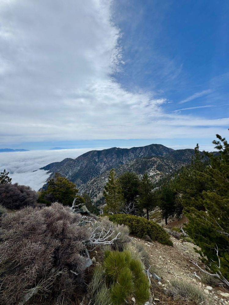 View of the east from Telegraph Peak
