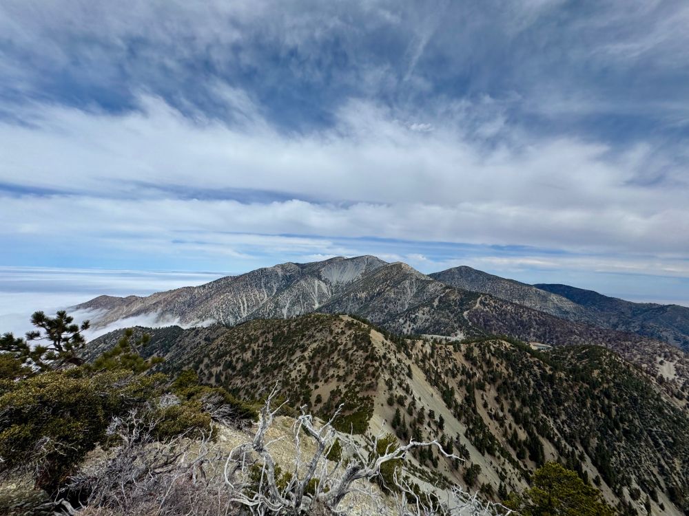 View of Mt Baldy from Telegraph Peak