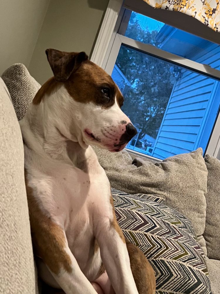 Ginny wondering what’s happening in the world 