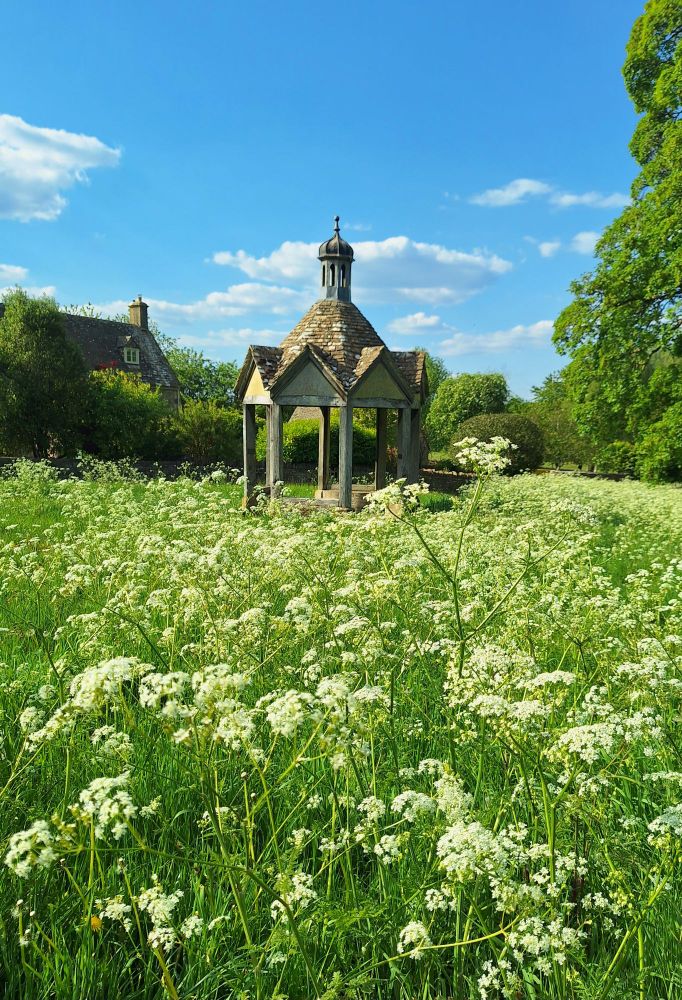 And old village pump housing adorned with a cornucopia of cow parsley 