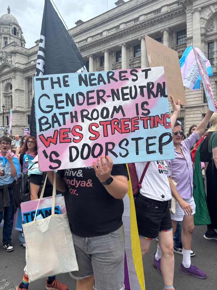 A photograph of a person at trans pride London holding a sign that says “the nearest gender neutral bathroom is wes streeting’s doorstep”