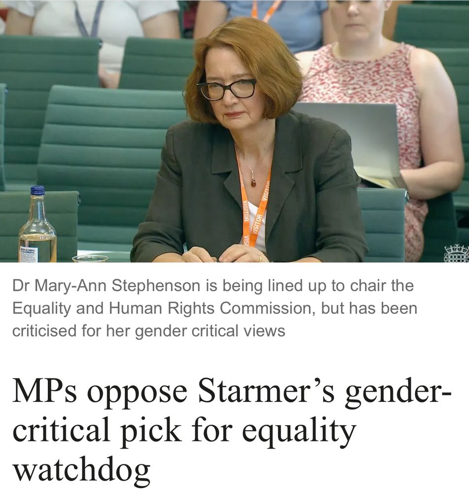A screenshot of the Times article. It reads:

Dr Mary-Ann Stephenson is being lined up to chair the Equality and Human Rights Commission, but has been criticised for her gender critical views
MPs oppose Starmer's gender-critical pick for equality watchdog