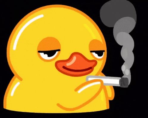 smoking duck gif