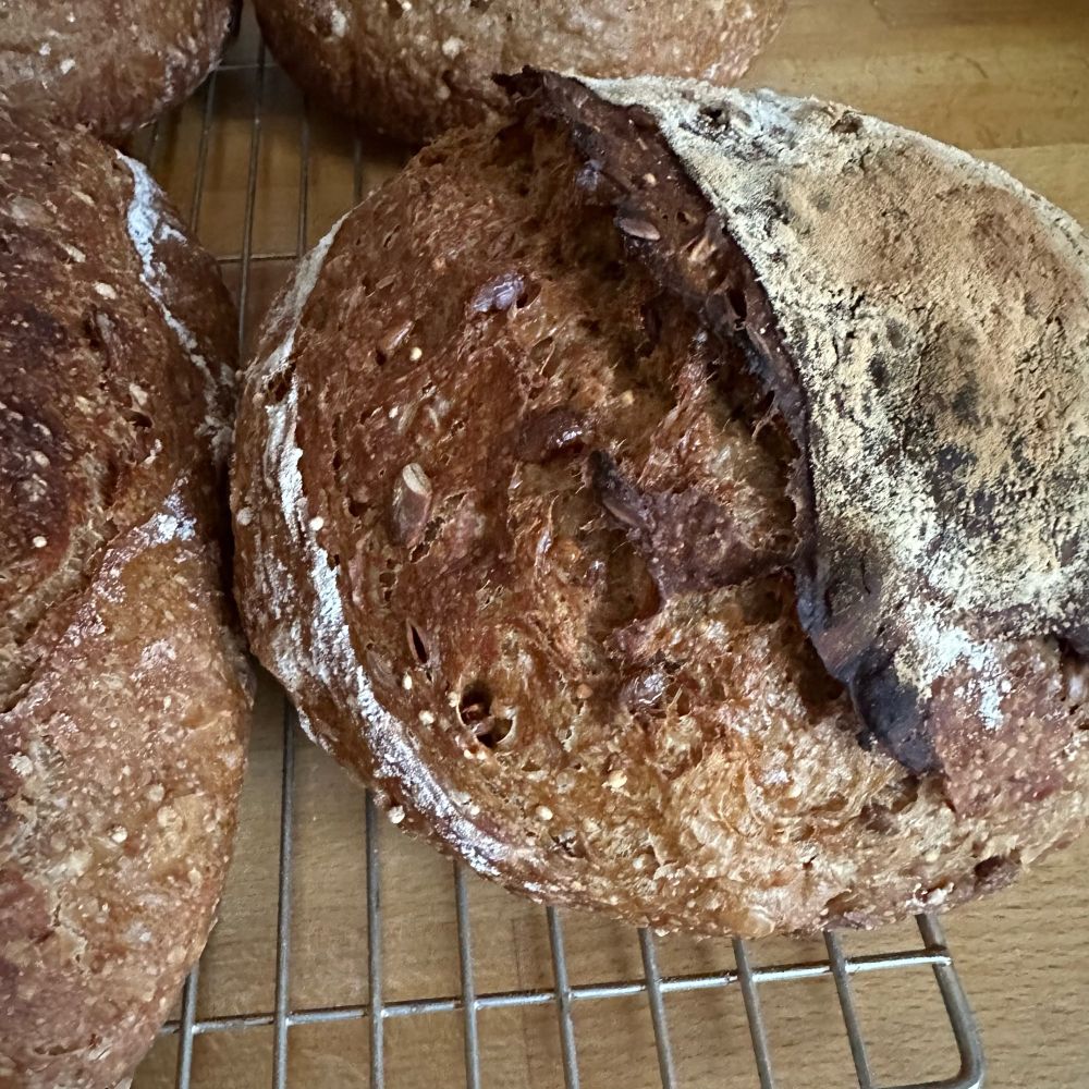 Close up of sourdough ear